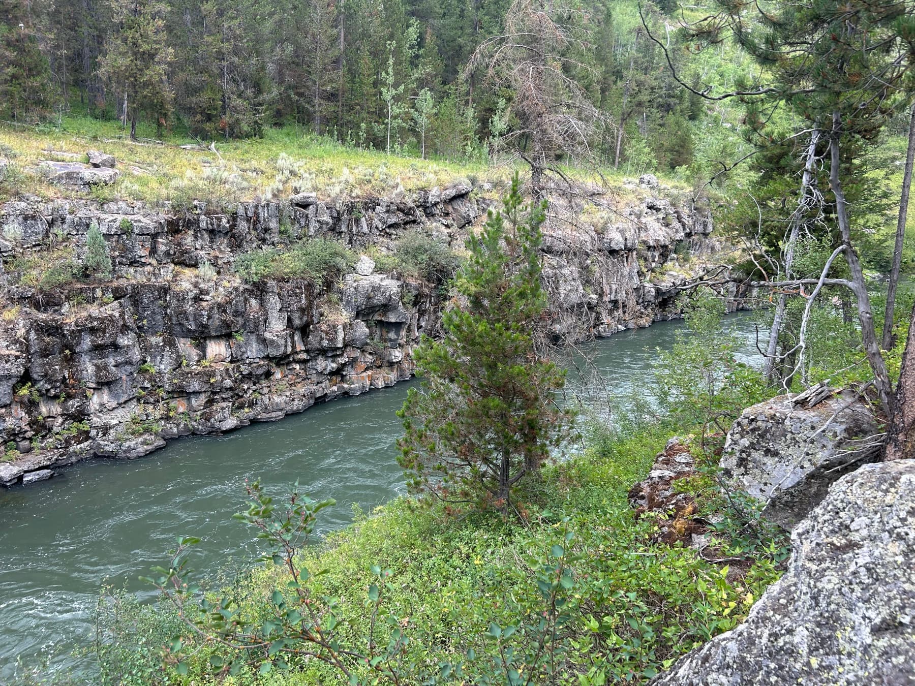 Box Canyon river bend framed by pine trees