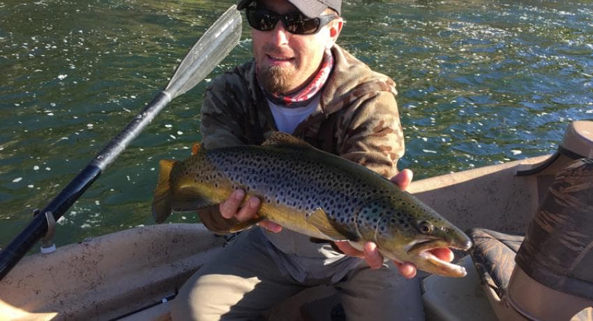 Hopper-caught trout