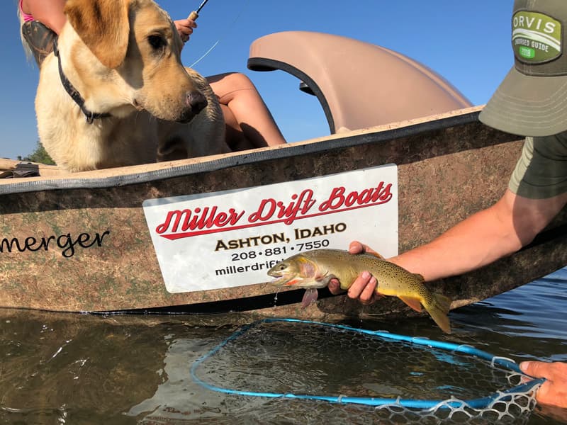 A drift boat on the South Fork