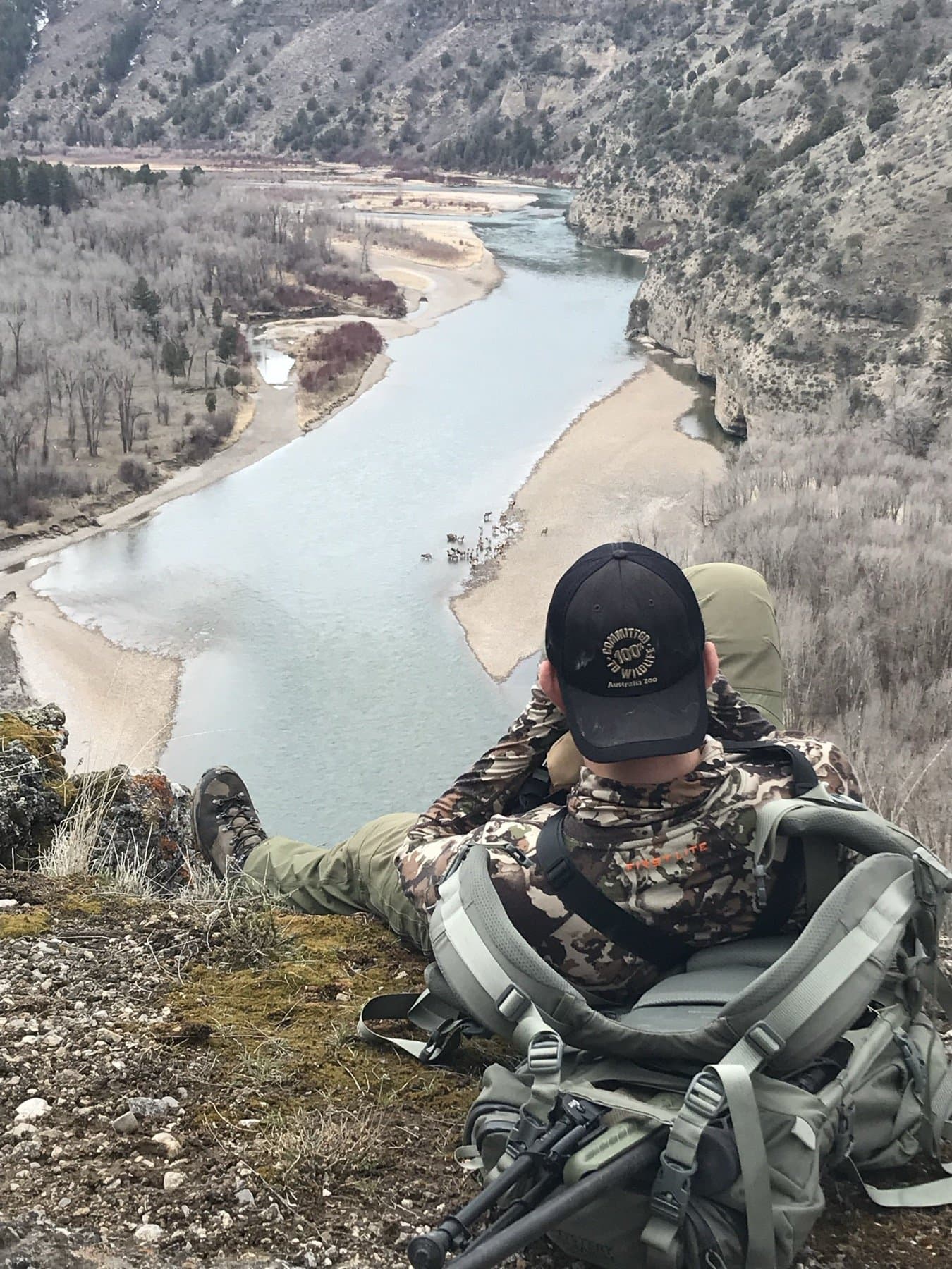 Overlooking the South Fork canyon from above, elk on a sandbar below