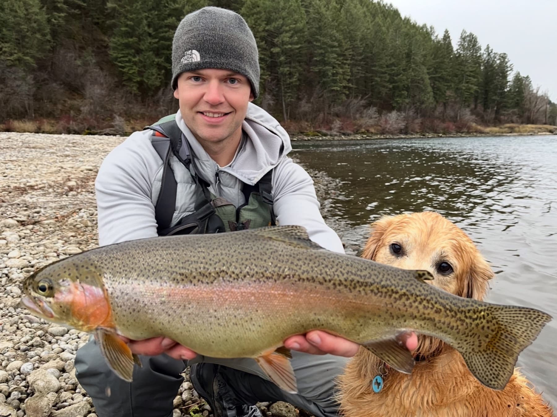 Angler and golden retriever with a big South Fork cutthroat trout