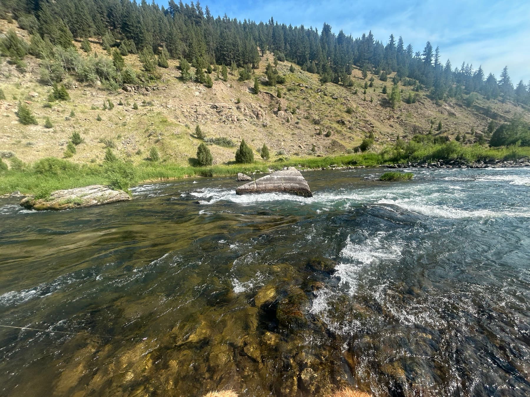 Riffle and forested hillside along the Teton River
