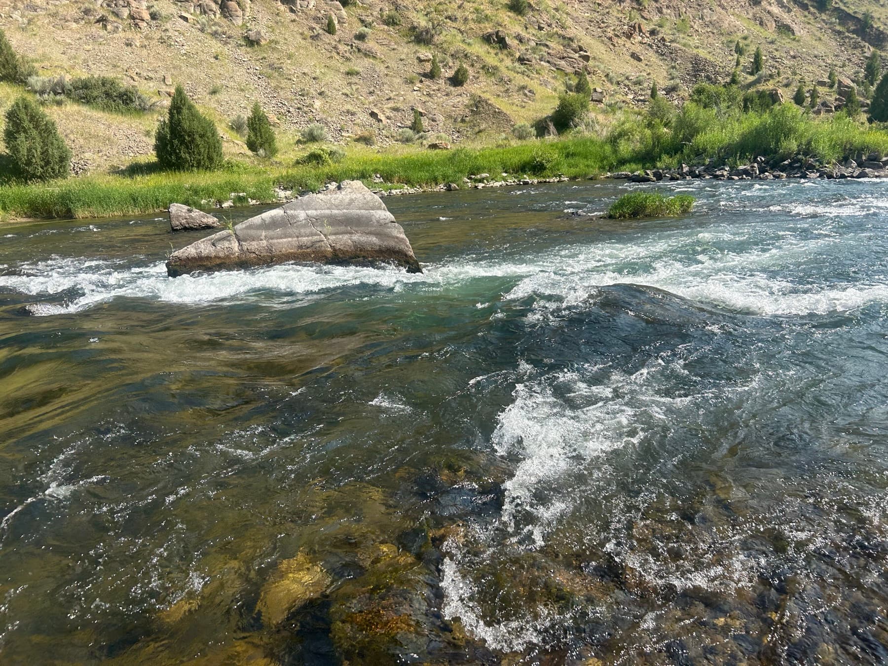 Whitewater riffle over rocks on the Teton River